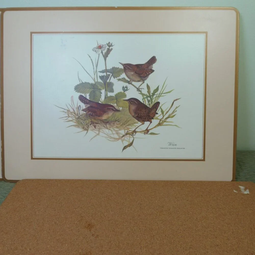 Vintage‎ Placemat Place boards Bird Pictures Set -4 Table Settings Cottage Core